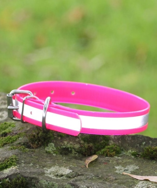 Collier fluo en Biothane personnalisé et réfléchissant pour chien