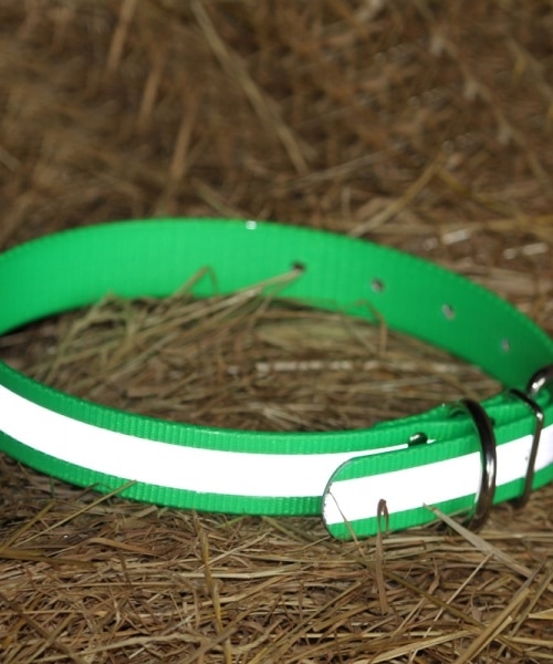 Collier fluo en Biothane personnalisé et réfléchissant pour chien