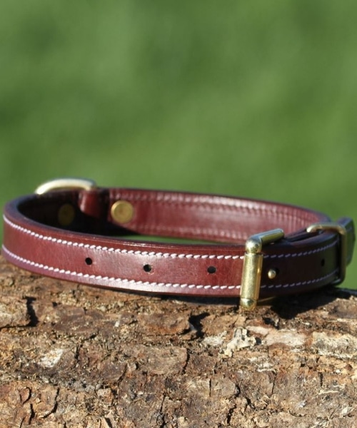 Collier en cuir avec plaque d'identification gravée pour chien