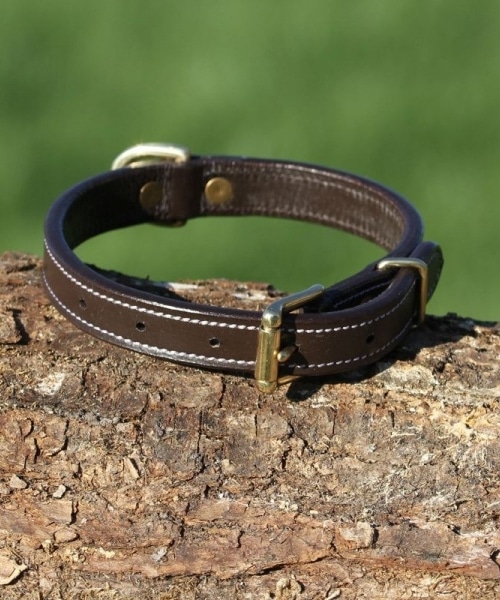 Collier en cuir avec plaque d'identification gravée pour chien