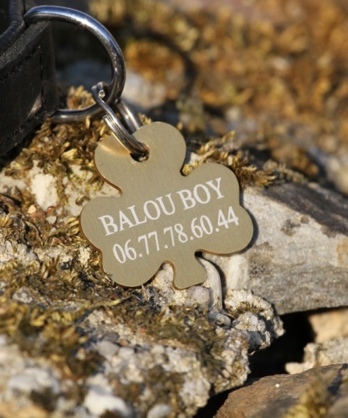 Dog tag de alumínio personalizado em forma de trevo