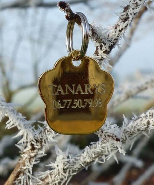 Personalized metal dog tag in the shape of a paw