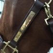 Photo plate halter