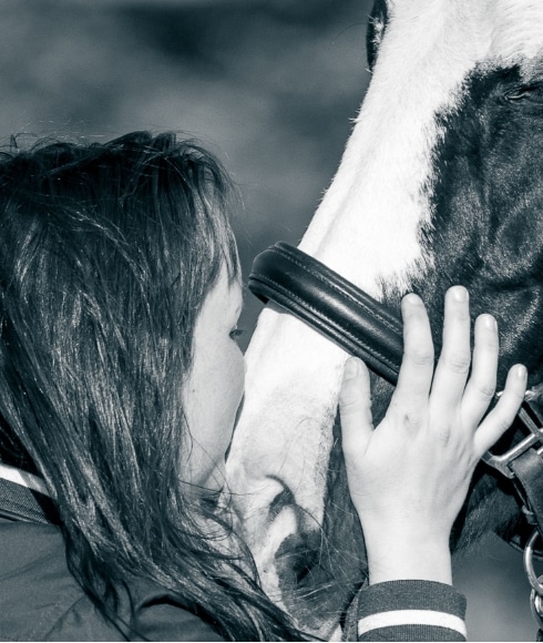 Foto allevatore con cavallo