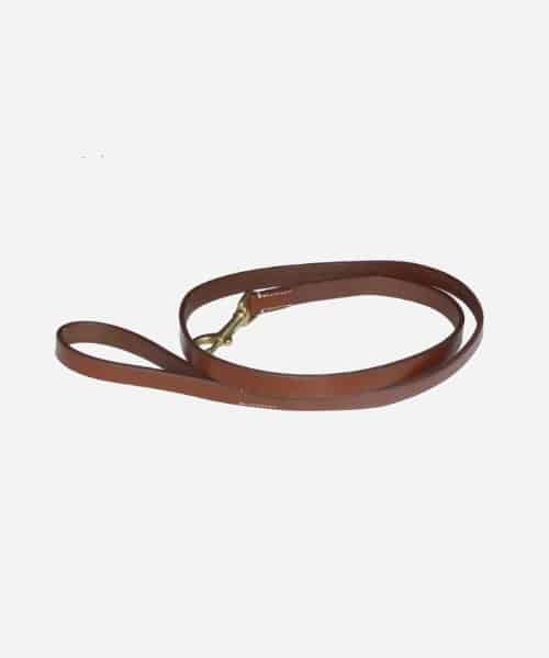 Laisse pour chien en cuir