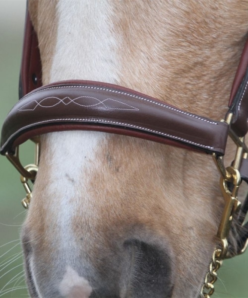 Licol gravé en cuir marron avec plaque en laiton pour chevaux