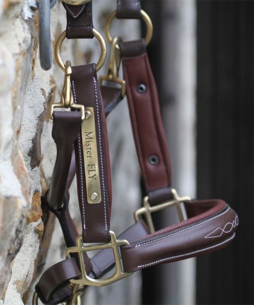 Engraved brown leather halter with brass plate for horses