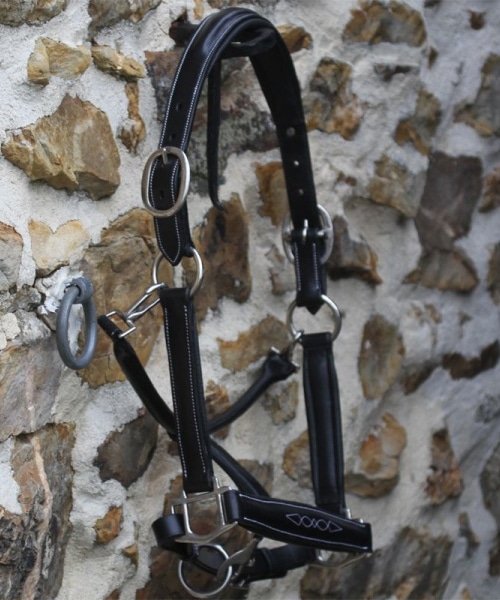 Licol gravé en cuir noir avec plaque en laiton pour chevaux