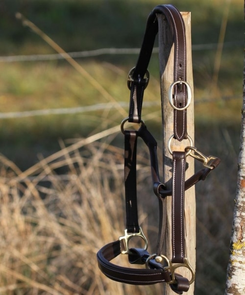 Licol gravé en cuir first avec plaque en laiton pour chevaux