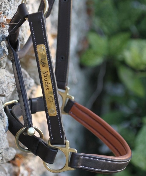 First engraved leather halter with brass plate for horses