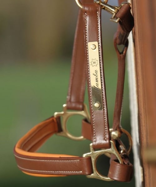 Newmarket Engraved Leather Halter with Plate for Horses