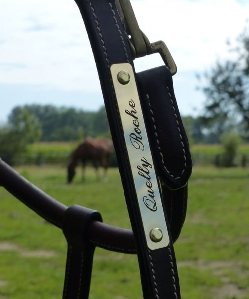 Licol en cuir avec plaque en laiton personnalisée pour chevaux