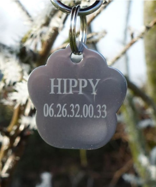 Personalized aluminum dog tag in the shape of a paw