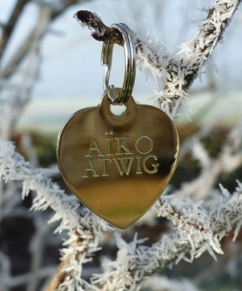 Personalized metal dog tag in golden heart