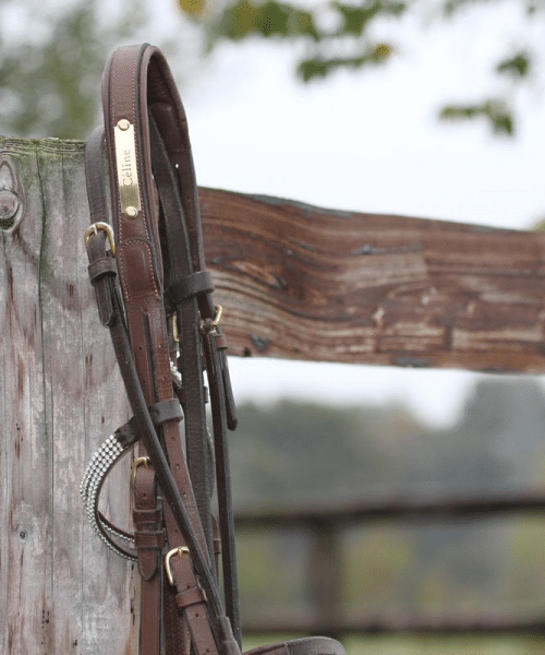 Plaque pour chevaux en aluminium doré