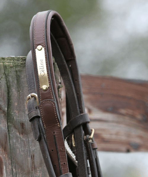 Plaque pour chevaux en aluminium doré