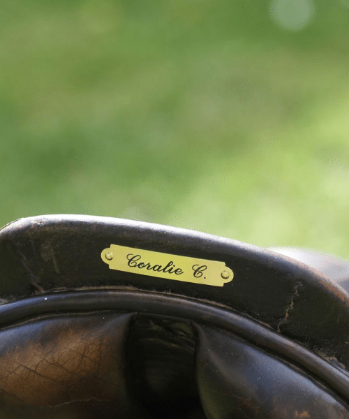 Plaque de selle pour chevaux personnalisée en laiton doré