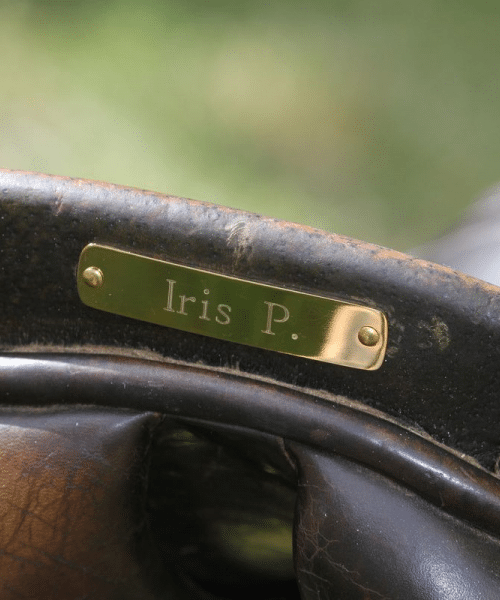 Placa de silla de caballo personalizada en latón dorado