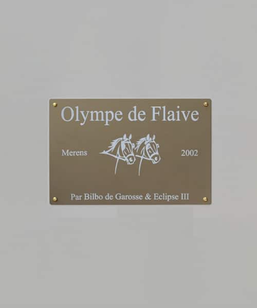 Plaque pour écurie en aluminium personnalisée