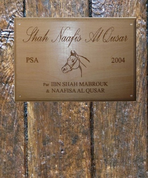 Plaque pour écurie en bois rectangle personnalisée