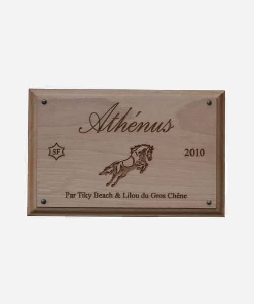 Plaque pour écurie en bois rectangle personnalisée