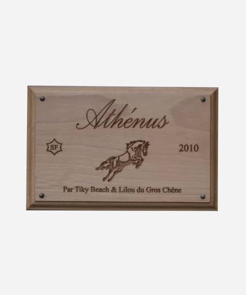 Personalized rectangular wooden stable plate