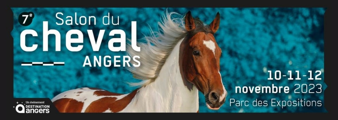 Bannière salon du cheval à Angers